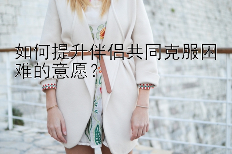 如何提升伴侣共同克服困难的意愿？