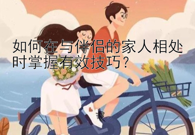 如何在与伴侣的家人相处时掌握有效技巧？